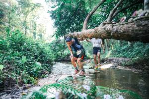 BIB: 
                            <button type="button" onclick="openModal(25438687)" class="btn btn-primary btn-sm float-right btn-popup" data-toggle="modal" data-target=".modal-high-quality">
                        <i class="fas fa-shopping-cart"></i> Add to Cart
                    </button>
                                            <button type="button" onclick="isThisMe(25438687, true)" class="btn btn-success btn-sm float-right btn-popup btn-isme hidden" data-toggle="tooltip" data-placement="bottom" title="นี่คือรูปของคุณใช่ไหม คลิกที่นี่เพื่อเอาเข้าอัลบั้ม">
                        <i class="fas fa-plus"></i> Add to album
                    </button>
                    <button type="button" onclick="isThisMe(25438687, false)" class="btn btn-warning btn-sm float-right btn-popup btn-isnotme hidden">
                        <i class="fas fa-ban"></i> Remove from album
                    </button>